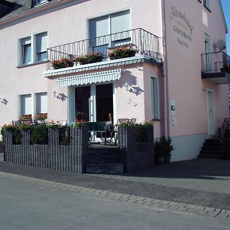 Gaestehaus Alexanderhof Leiwen Exterior foto
