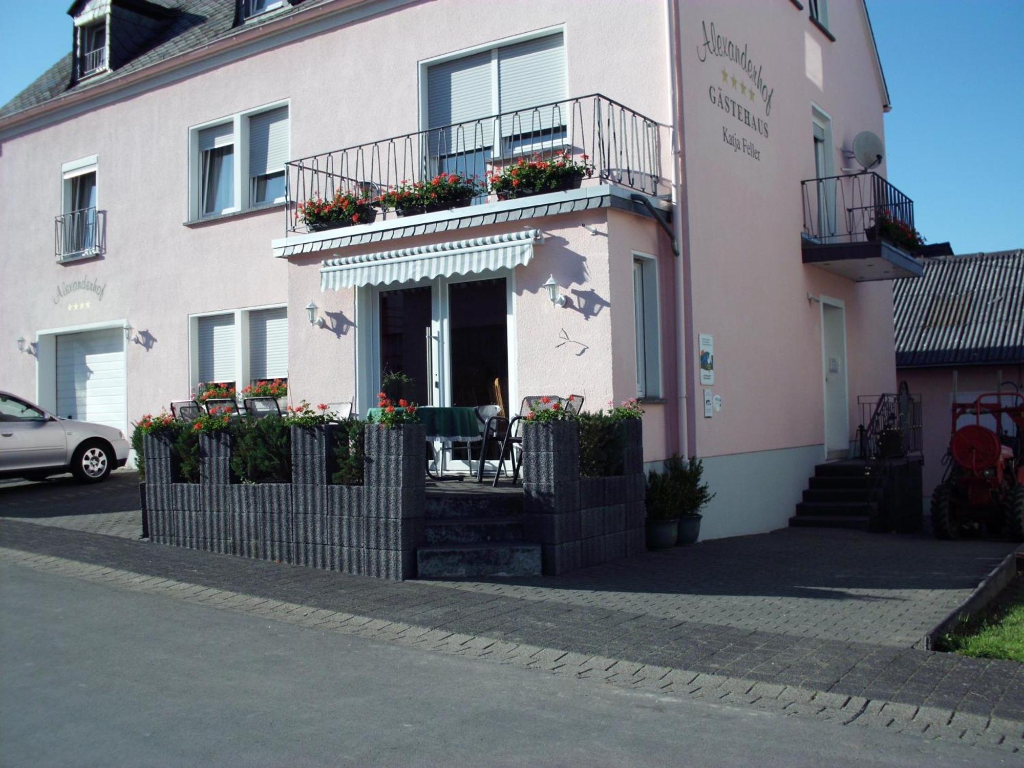 Gaestehaus Alexanderhof Leiwen Exterior foto