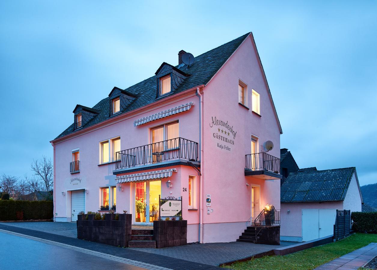 Gaestehaus Alexanderhof Leiwen Exterior foto